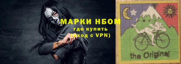 прущие грибы Тихвин