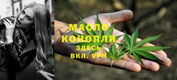 прущие грибы Тихвин